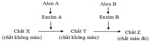 Đề thi thử THPT Quốc gia năm 2017 môn Sinh học