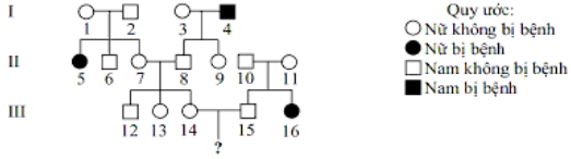 Đề thi thử THPT Quốc gia 2017 môn Sịnh học