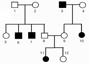 Đề thi thử THPT Quốc gia 2017 môn Sinh học