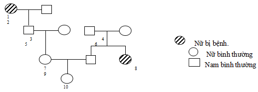 Đề thi thử THPT Quốc gia 2017 môn Sinh học