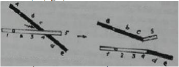 Đề thi thử THPT Quốc gia năm 2017 môn Sinh học