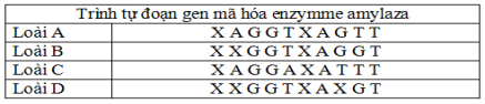Đề thi thử THPT Quốc gia năm 2017 môn Sinh học