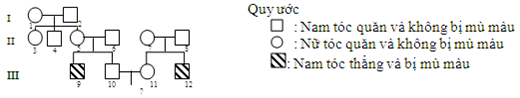 Đề thi thử THPT Quốc gia năm 2017 môn Sinh học