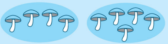 Giải bài tập trang 25 SGK Toán 1