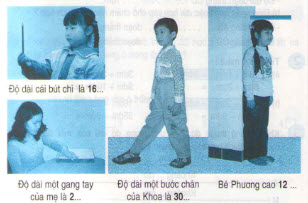 Giải bài tập trang 8 SGK Toán 2