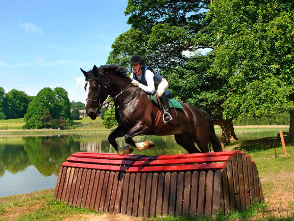 Tên tiếng Anh của môn Đua ngựa