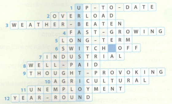 Giải bài tập SBT tiếng Anh lớp 12 Unit 2