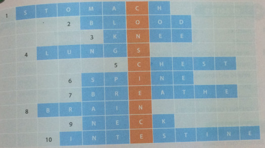 Giải bài tập SBT tiếng Anh lớp 10 Unit 2 