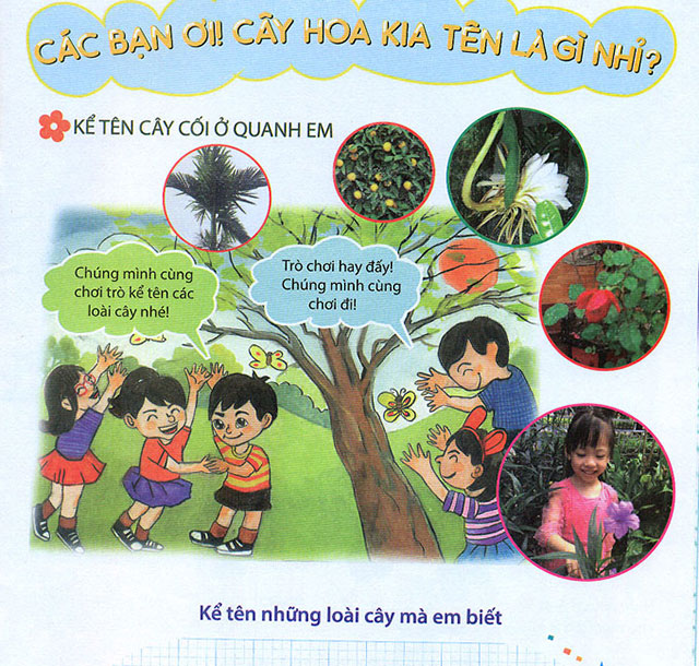 Phương pháp học trải nghiệm tiểu học