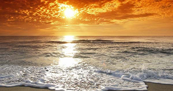 Tả cảnh biển buổi sáng