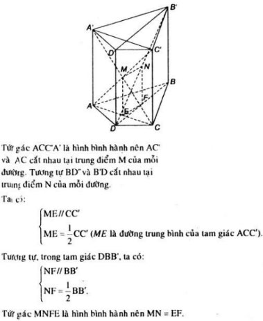 Bài tập ôn tập cuối năm Toán 11