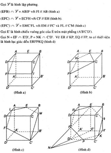 Bài tập ôn tập cuối năm Toán 11