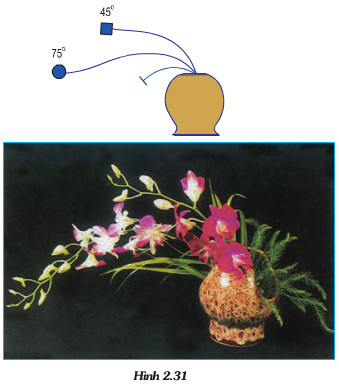 Giải bài tập SGK Công nghệ lớp 6 bài 14: Thực hành cắm hoa