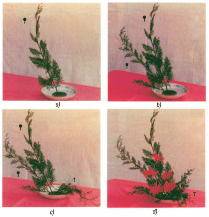 Giải bài tập SGK Công nghệ lớp 6 bài 14: Thực hành cắm hoa