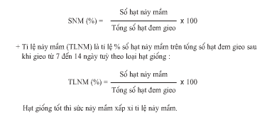 Giải bài tập SGK Công nghệ lớp 7 bài 18: Thực hành: Xác định sức nảy mầm và tỉ lệ nảy mầm của hạt giống