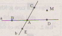 Giải bài tập SGK Toán lớp 6 chương I bài 1: Điểm. Đường thẳng