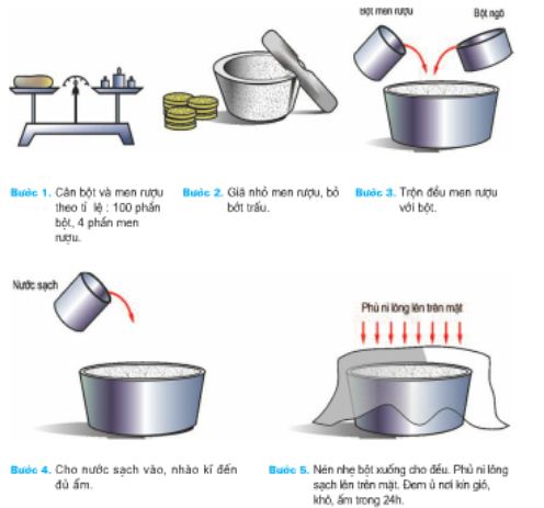 Giải bài tập SGK Công nghệ lớp 7 bài 42: Thực hành: Chế biến thức ăn giàu gluxit bằng men