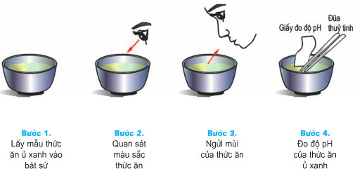 Giải bài tập SGK Công nghệ lớp 7 bài 43: Thực hành: Đánh giá chất lượng thức ăn vật nuôi chế biến bằng phương pháp vi sinh vật