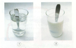 Giải bài tập SGK Khoa học 4