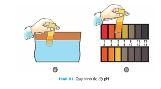 Giải bài tập SGK Công nghệ lớp 7 bài 51: Thực hành: Xác định nhiệt độ, độ trong và độ pH của nước nuôi thuỷ sản