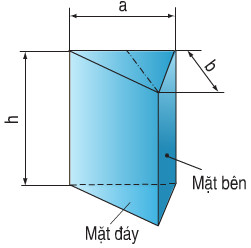 Giải bài tập SGK Công nghệ lớp 8 bài 4: Bản vẽ các khối đa diện