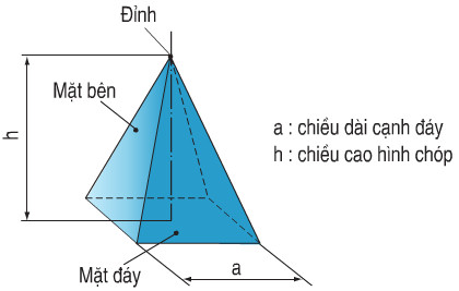 Giải bài tập SGK Công nghệ lớp 8 bài 4: Bản vẽ các khối đa diện