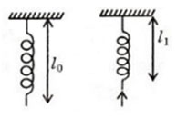 Giải bài tập Vật lý 10 bài 12