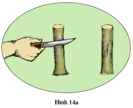 Giải bài tập SGK Công nghệ lớp 9 quyển 3 bài 6: Thực hành: Ghép