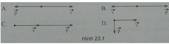 Trắc nghiệm Vật lý 10 chương 4