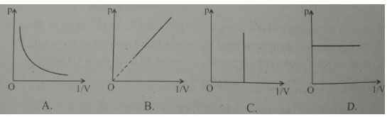 Trắc nghiệm Vật lý 10 chương 5