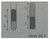 Trắc nghiệm Vật lý 10 chương 5
