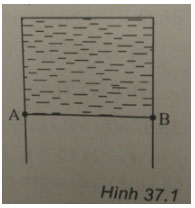 Trắc nghiệm Vật lý 10 chương 7
