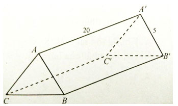 Trắc nghiệm Toán 12 chương 1