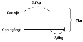 Giải vở bài tập Toán 5