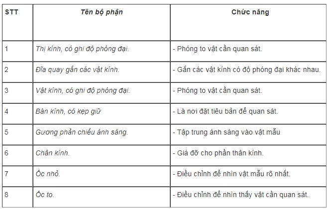 bài tập sinh học lớp 6