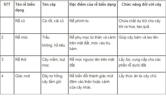bài tập sinh học 6