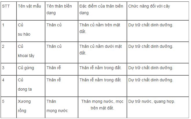 bài tập sinh học lớp 6