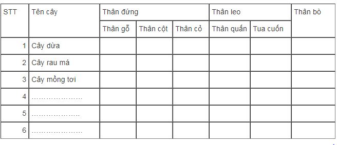 bài tập sinh học lớp 6