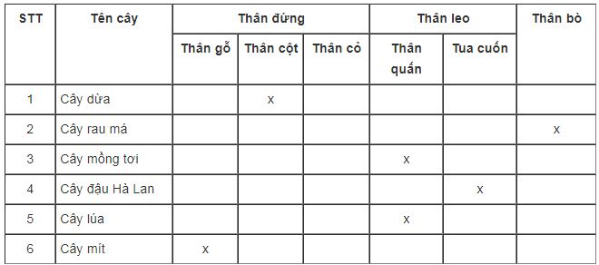 bài tập sinh học lớp 6
