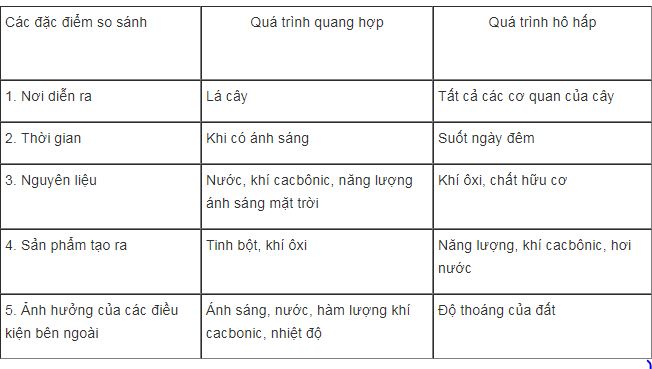 bài tập sinh học lớp 6