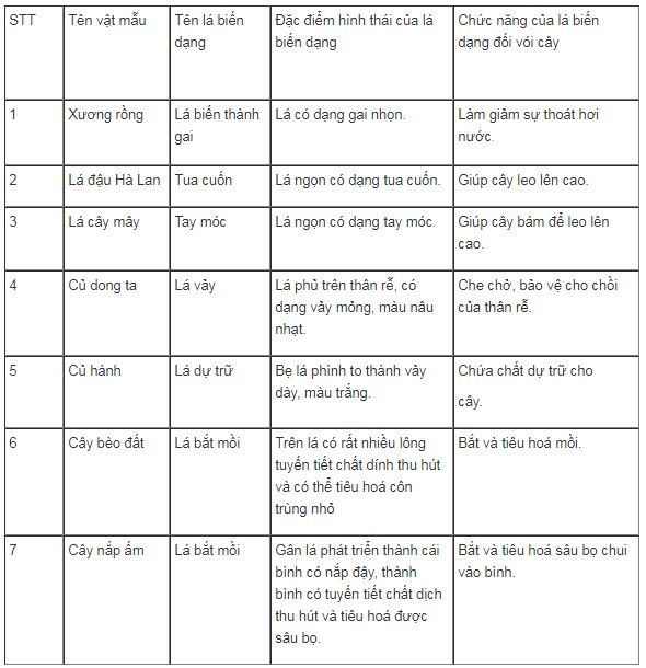 bài tập sinh học lớp 6