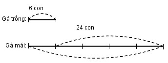 Giải vở bài tập Toán 3 bài 54