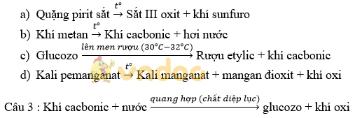 Đề kiểm tra 15 phút lớp 8 môn Hóa học Chương 2 - Đề 3
