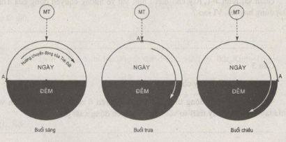 bài tập địa lý 7