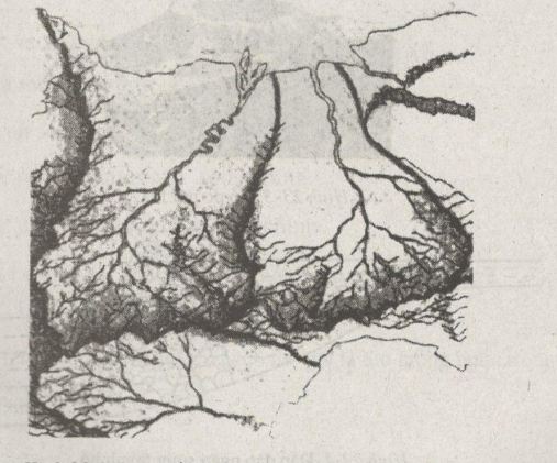 bài tập địa lý