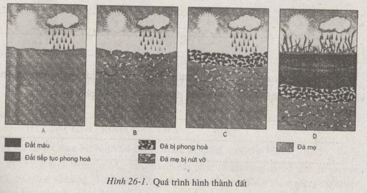 bài tập địa lý
