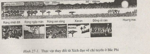 bài tập địa lý