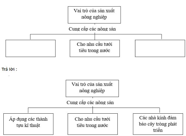 bài tập địa lý