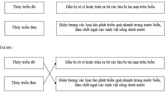 bài tập địa lý