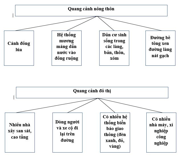bài tập địa lý 7